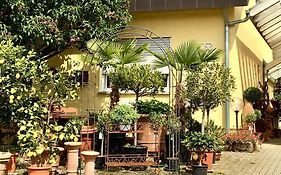 Casa Limone