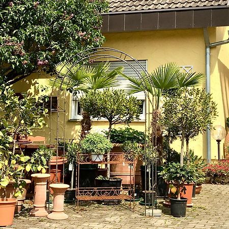 Casa Limone Appartement Ammerbuch Buitenkant foto