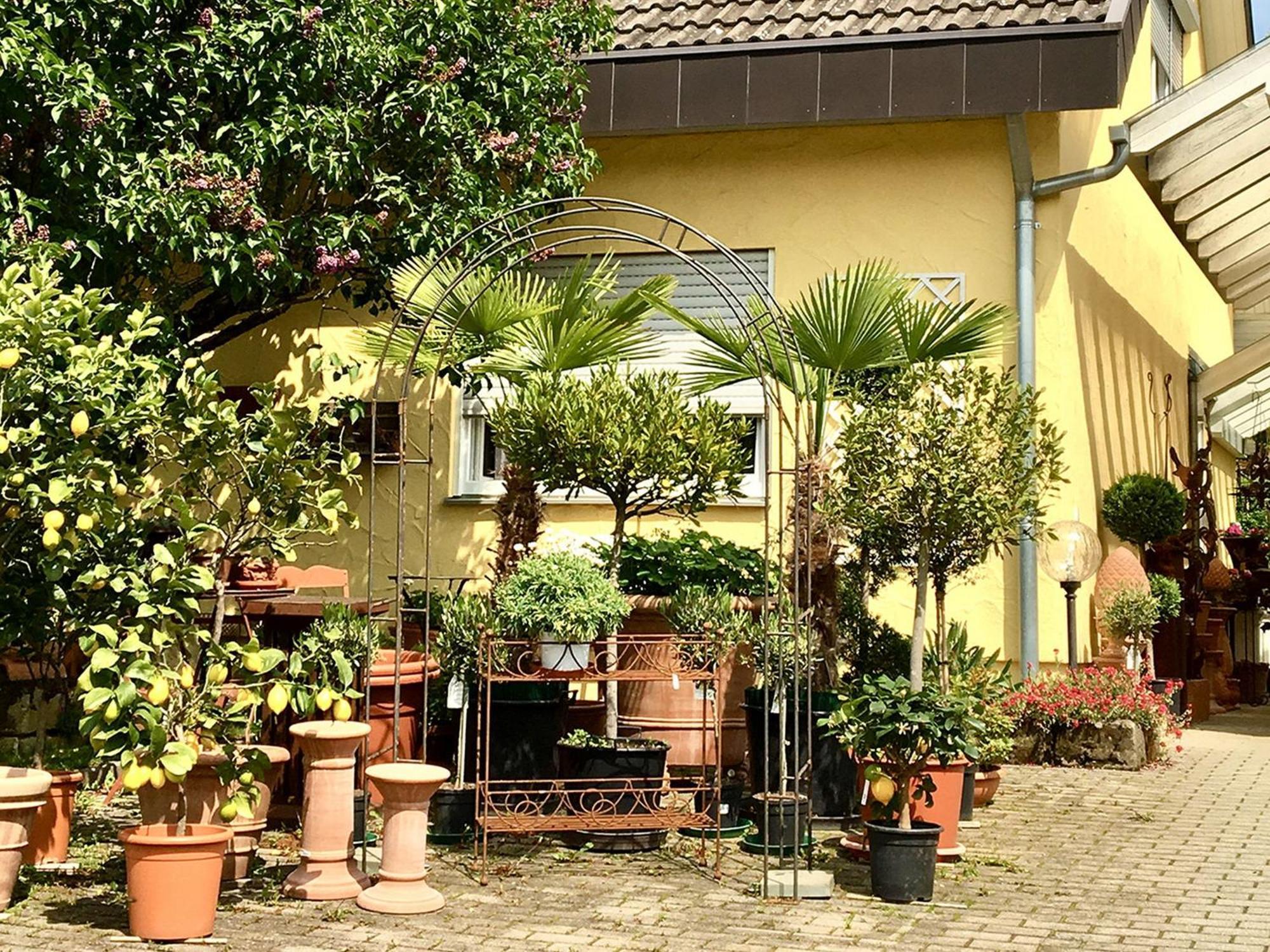 Casa Limone Appartement Ammerbuch Buitenkant foto